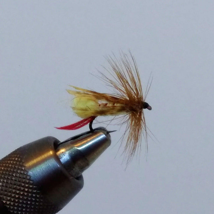 rangeley grasshopper at a maine fly shop