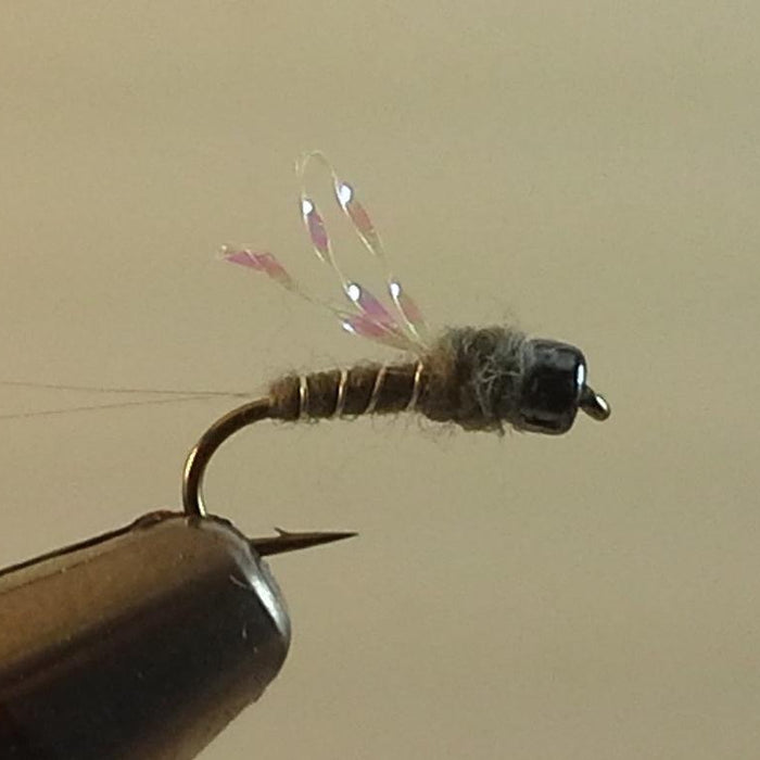 maineflyshop gunmetal sparklewing RS2 nymph fly