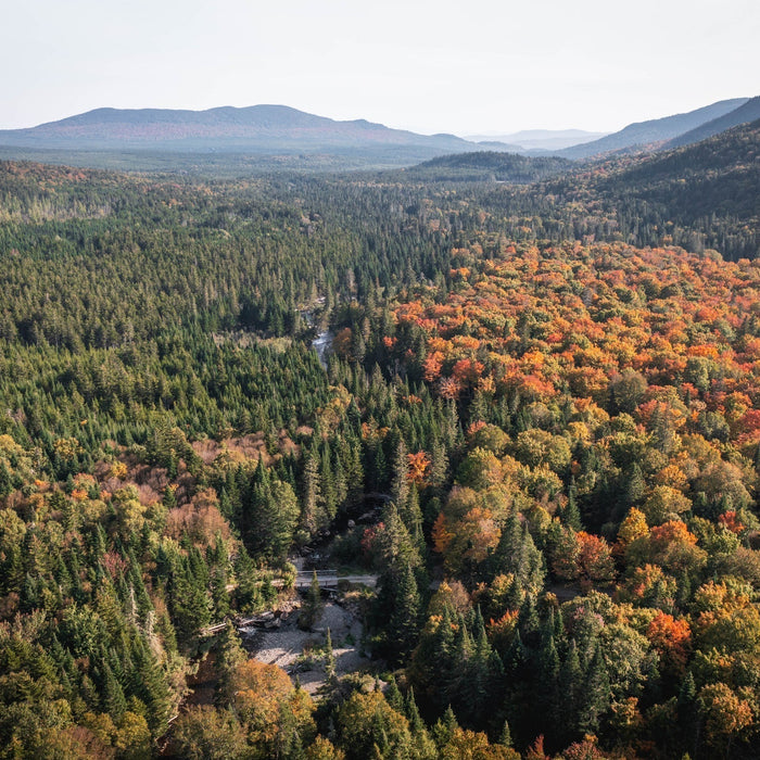 river in the fall