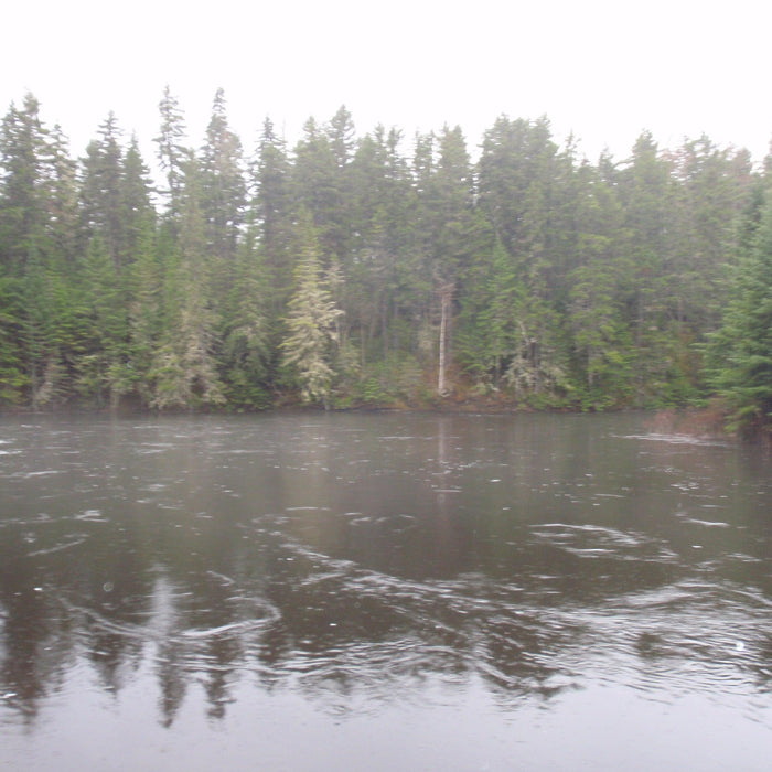 high water on the kennebago river