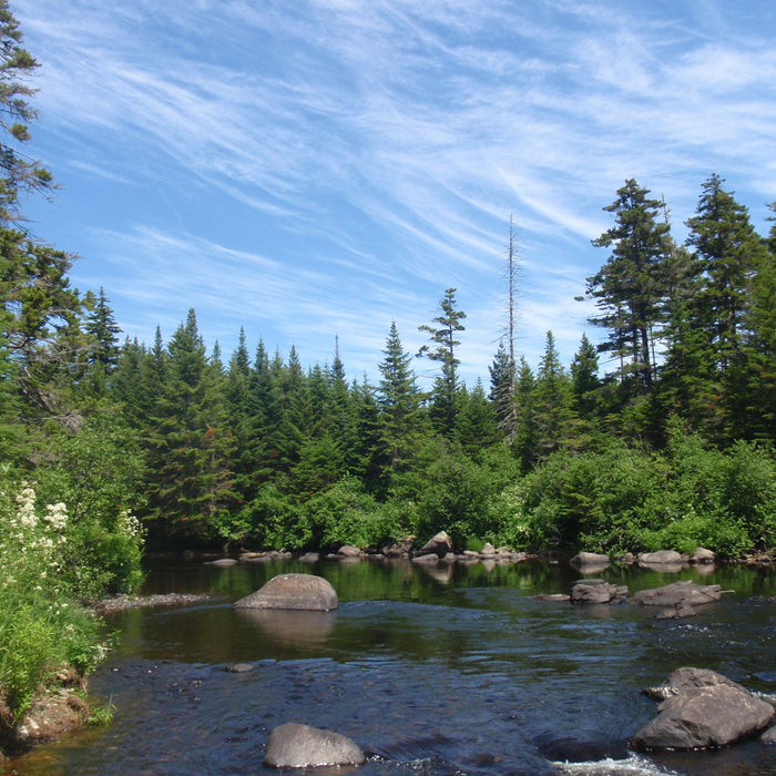 a river in rangeley region