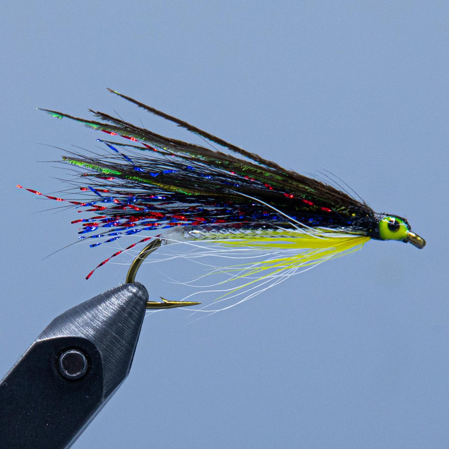 kennebago smelt at a maine fly shop