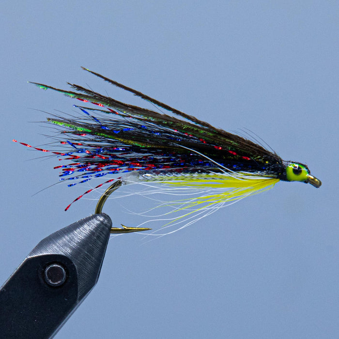 kennebago smelt at a maine fly shop