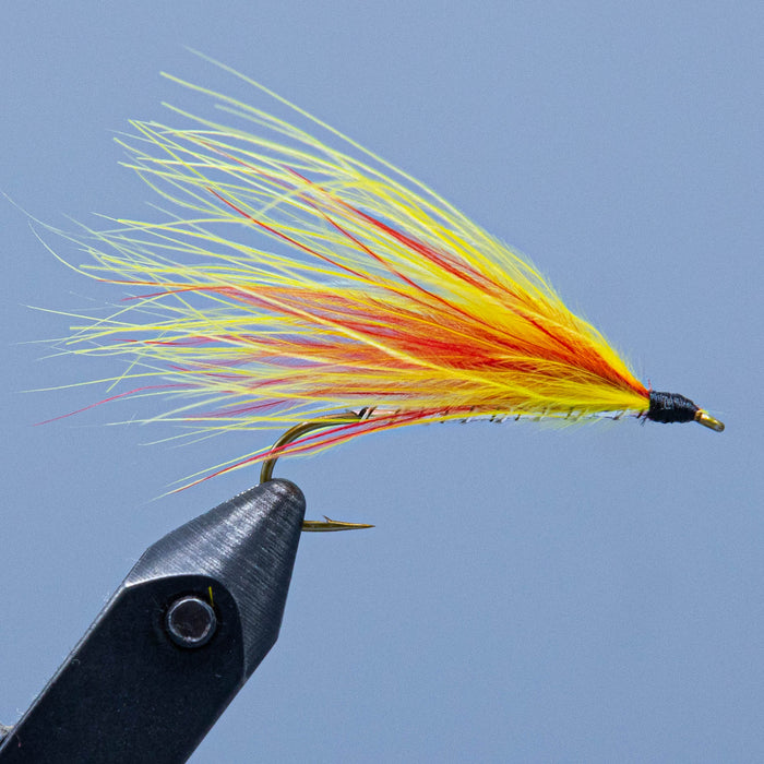mickey finn at a maine fly shop