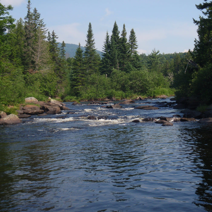 Rangeley Region Fishing Report - June 15 2023