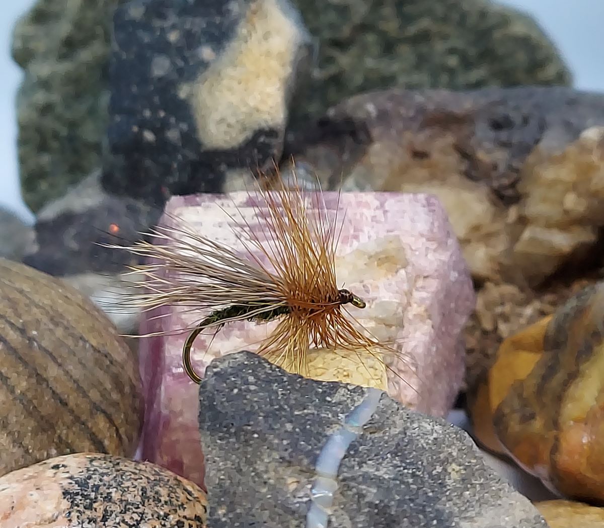 Alder Fly