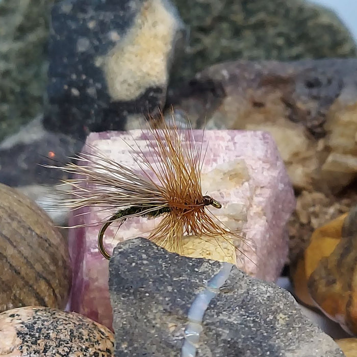 Alder Fly