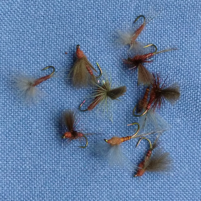 mahogany duns at a Maine fly shop