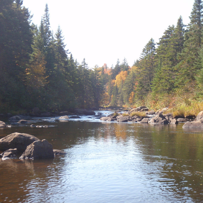 fall fishing on kennebago river maineflyfishing