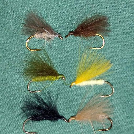 cdc caddis at rangeley fly shop