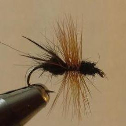 maineflyshop flying ant terrestrial fly fishing