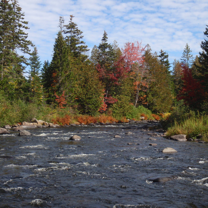 Rangeley Region Fishing Report - Sept. 23 2023