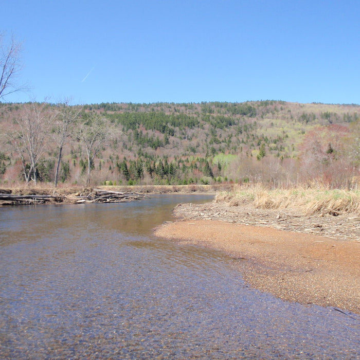 Rangeley Region Fishing Report - May 2, 2024