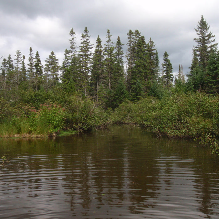 Rangeley Region Fishing Report - Sept. 23, 2021