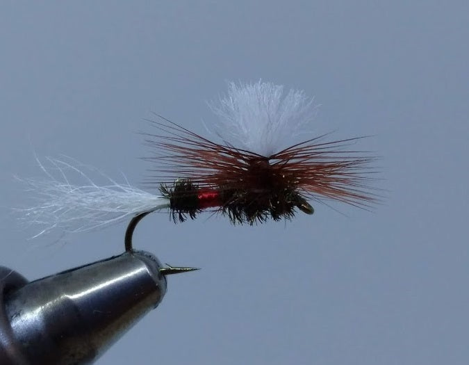 Parachute Royal Wulff - Rangeley Region Sports Shop