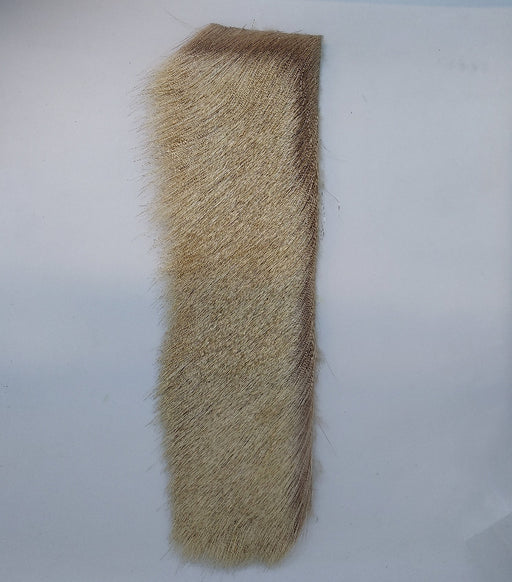 a strip of premo elk hair bleached