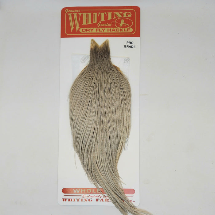 a light dun (gray) whiting pro grade dry fly hackle sold at a Rangeley fly Shop