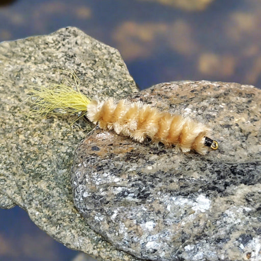 The  maple syrup  fishing  fly on a rock