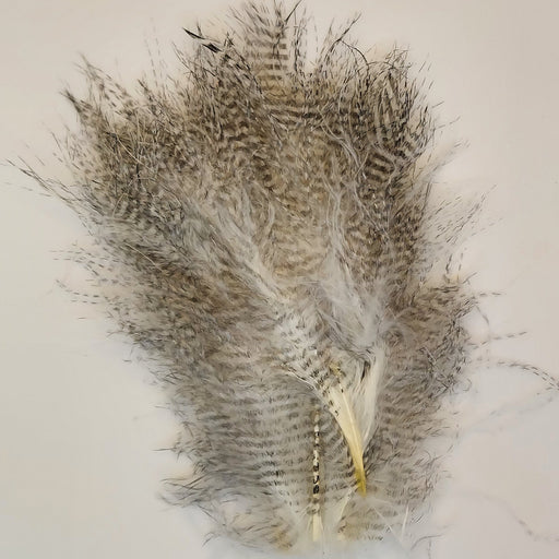 a pile of white marabou feathers barred with black