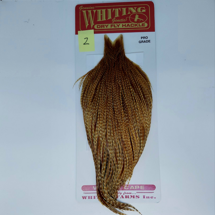 Barred dark ginger dry fly hackle on a Whiting branded card with a white background