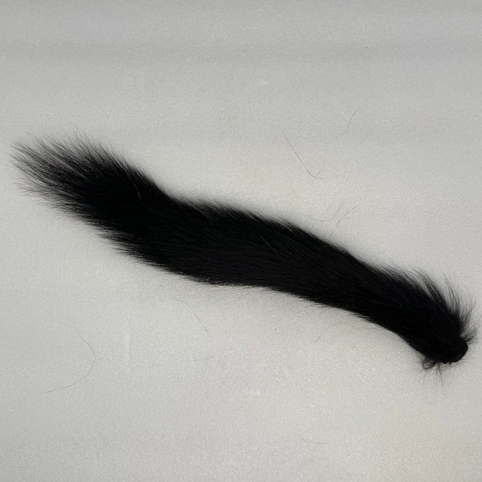 Black Squirrel Tail on white background
