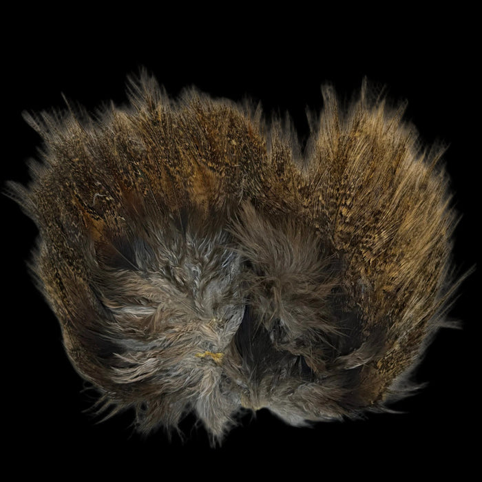 Close up of 3 Coq de Leon feather patches