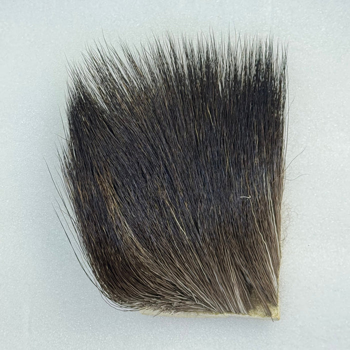 Patch of Moose Body Hair