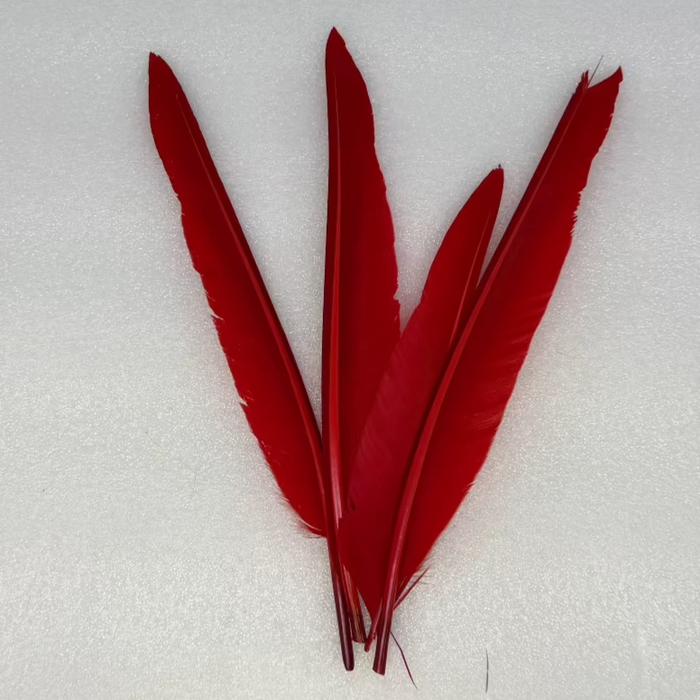 2 Pairs of red colored duck feathers