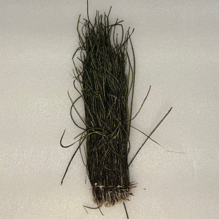 One bundle strung natural colored peacock herl