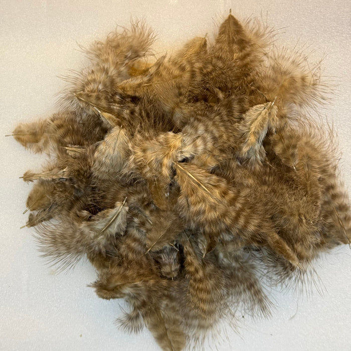 Pile of tan colored grizzly marabou feathers