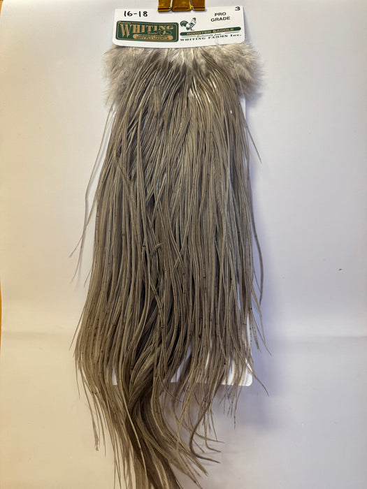 Long medium grey dun size 16-18 saddle feathers