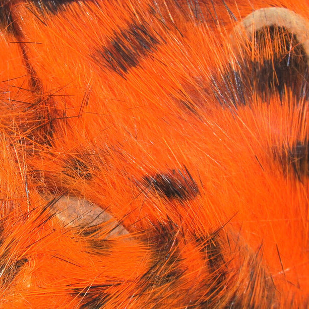 close up of hot orange barred rabbit strips