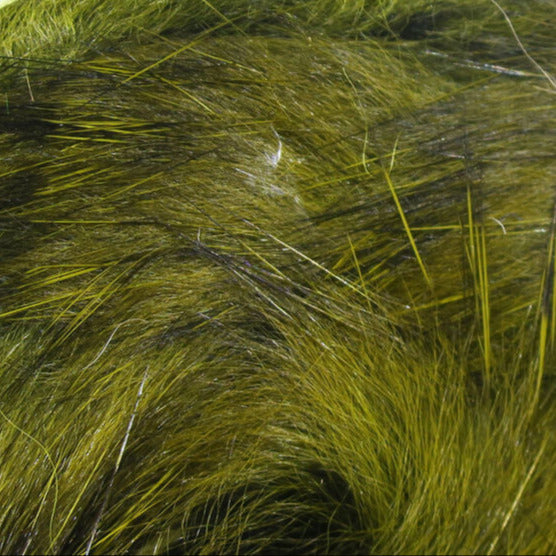 close up of olive barred rabbit strips