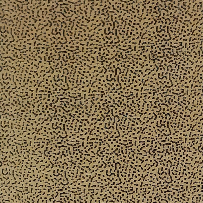 a close up of tan and black thin skin