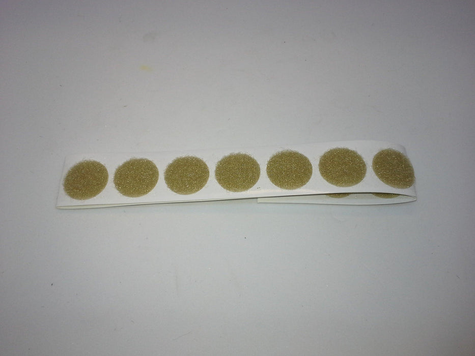 crab coins at a maine fly shop