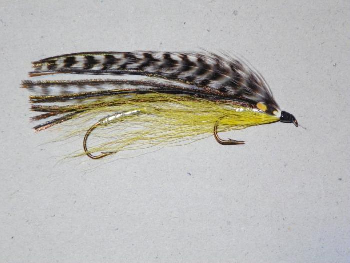 sportsmen's say from Rangeley Maine fly fishing shop