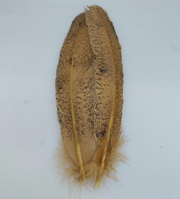 a pair of mottled turkey wing feathers which has been dyed golden yellow