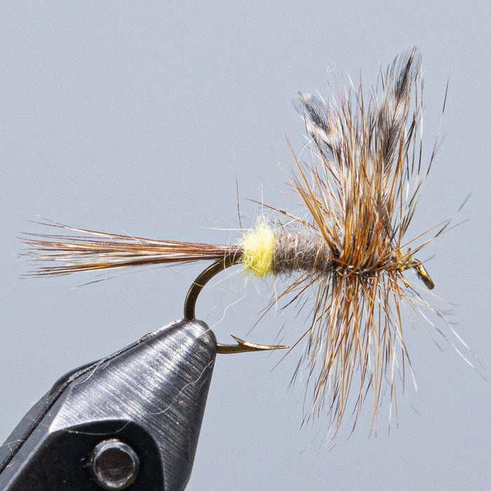 female adams fly from maineflyshop
