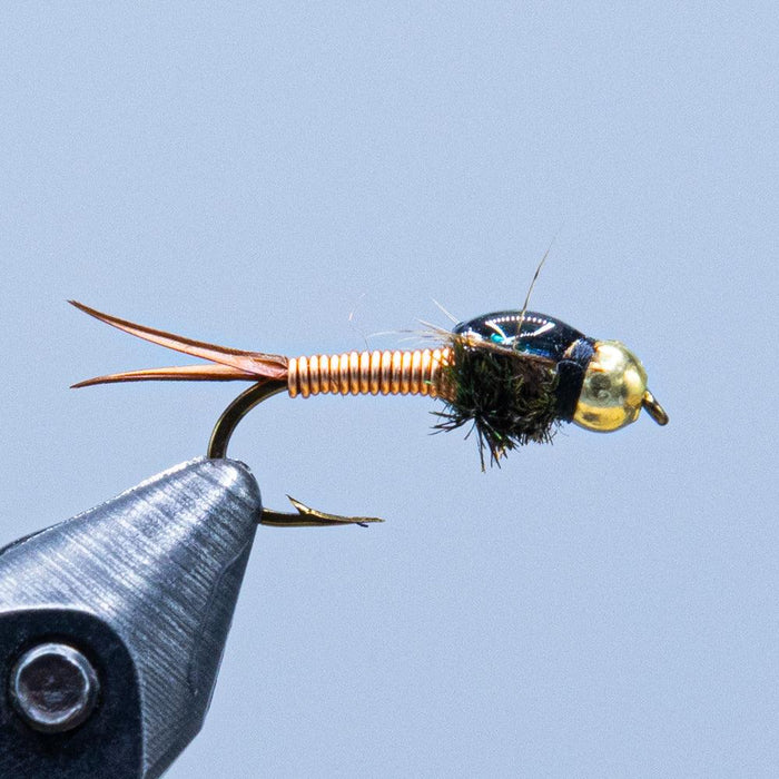 copper john at a maine fly shop