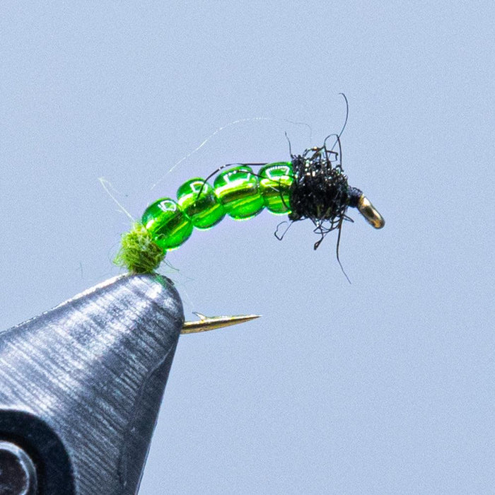 killer caddis at a maine fly shop