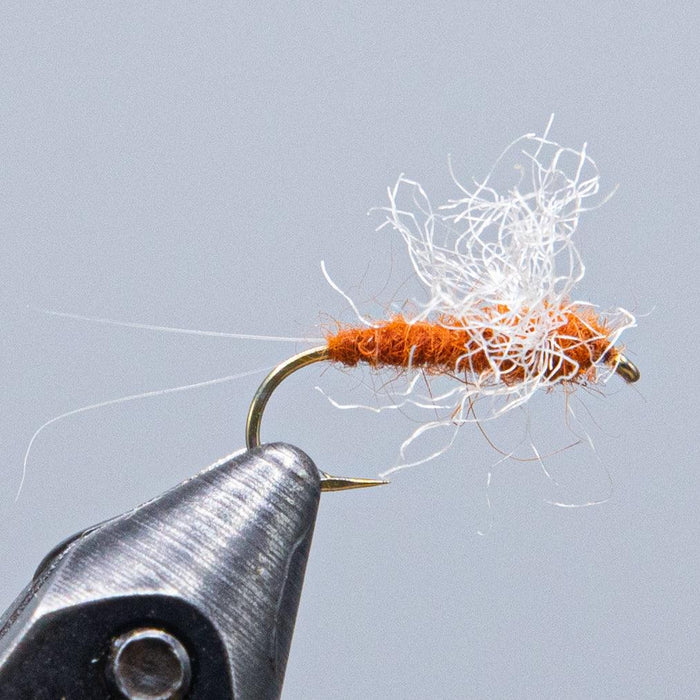 rusty spinner at a maine fly sgop