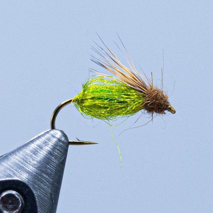 sparkle pupa emerger at a maine fly shop