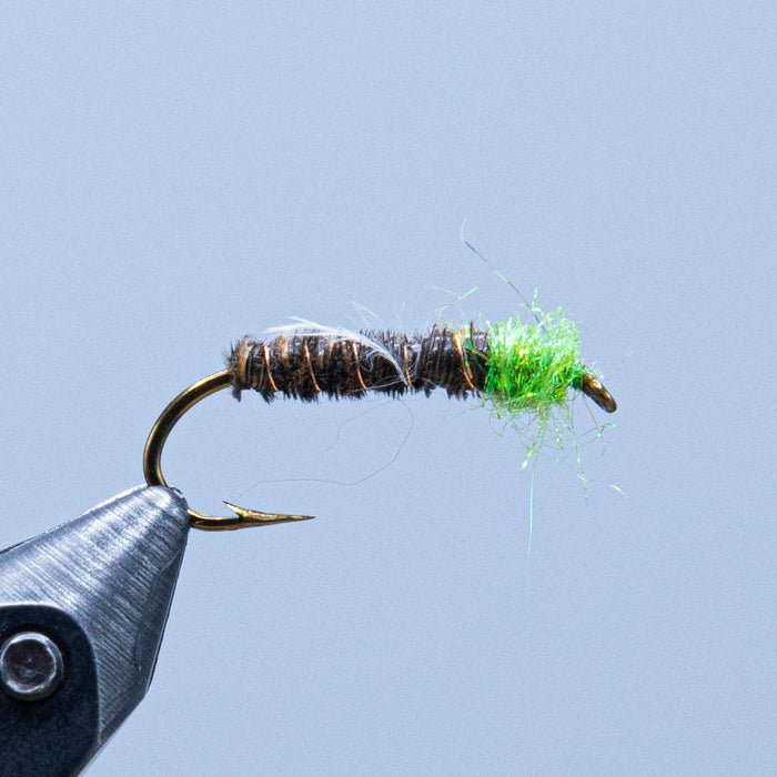 cased caddis at a maine fly shop
