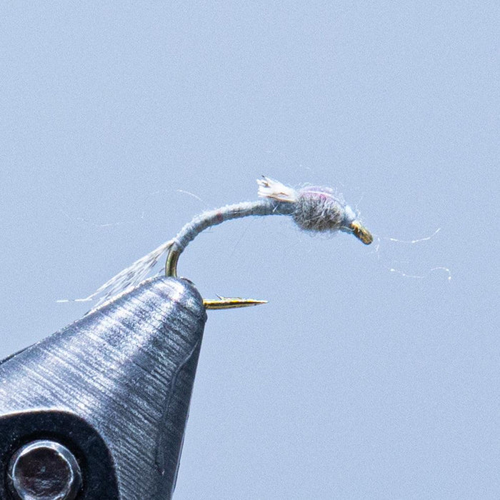 wd 50 at a maine fly shop