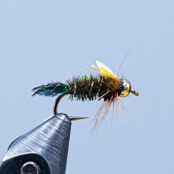 beadhead zug bug at a maine fly shop