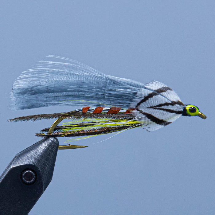 The classic Gray Ghost streamer fly - an orange and silver body with yellow and peacock under the shank and gray feather wings with silver pheasant cheek at a maine fly shop
