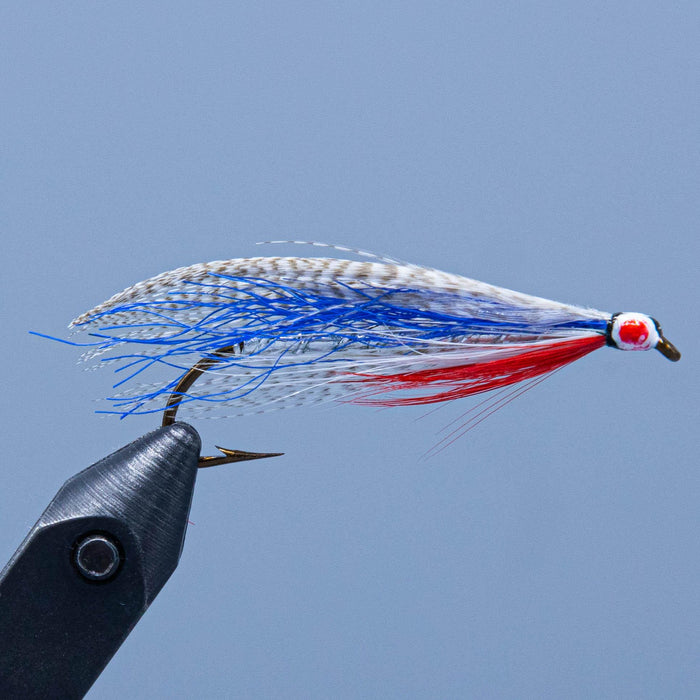 a red, natural, and blue downwing silver smelt at a maine fly shop