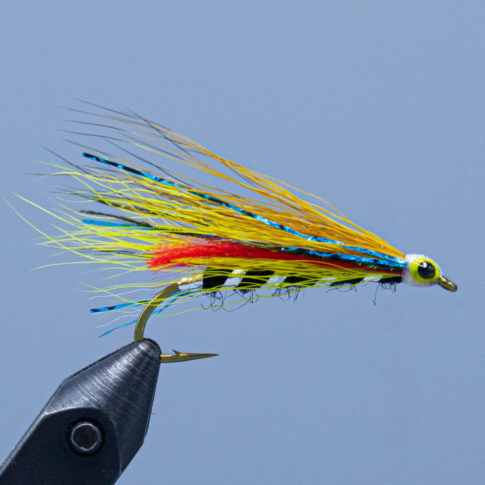 herb johnson streamer fishing fly with black and silver body and colorful bucktail and flash wing at a maine fly shop