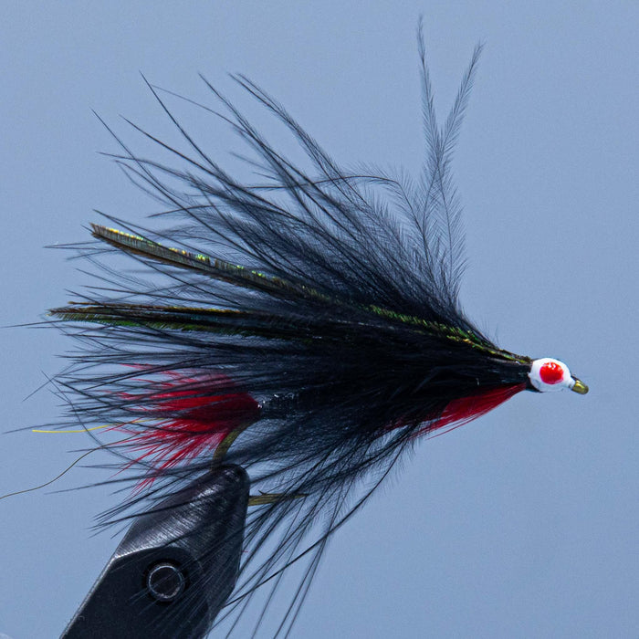 a silver body, red tail and throat, and black marabou are used to create this streamer fly at a maine fly shop
