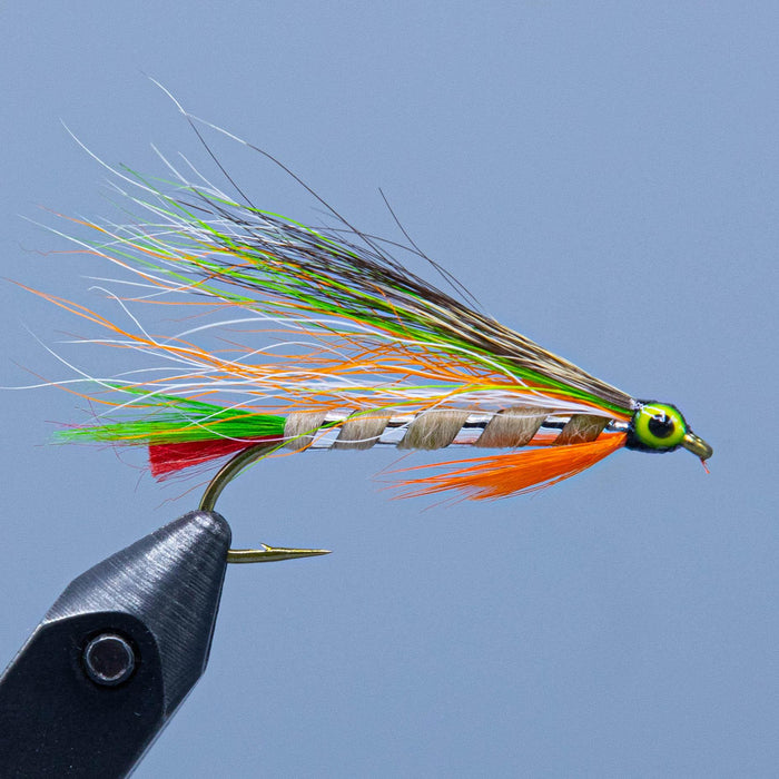 a streamer fly with many colors of a brook trout at a maine fly shop